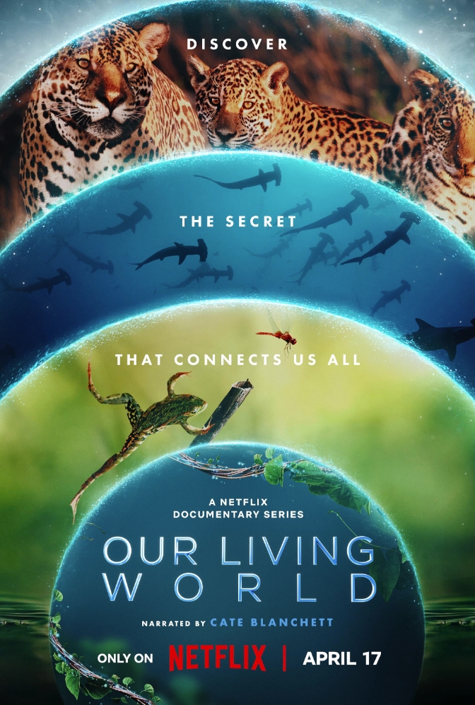 我们的生物世界 Our Living World (2024)